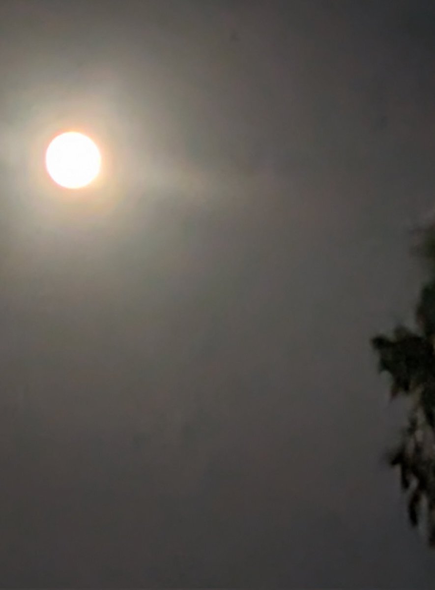 今年最後のスーパームーン」のYahoo!リアルタイム検索 - X（旧Twitter