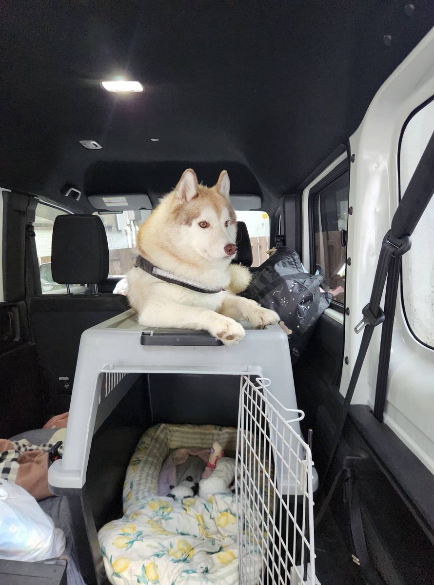 専用出品です。す様ご注文分　田口愛佳他 専用出品です。す様ご注文分 田口愛佳他 専用出品です。す様