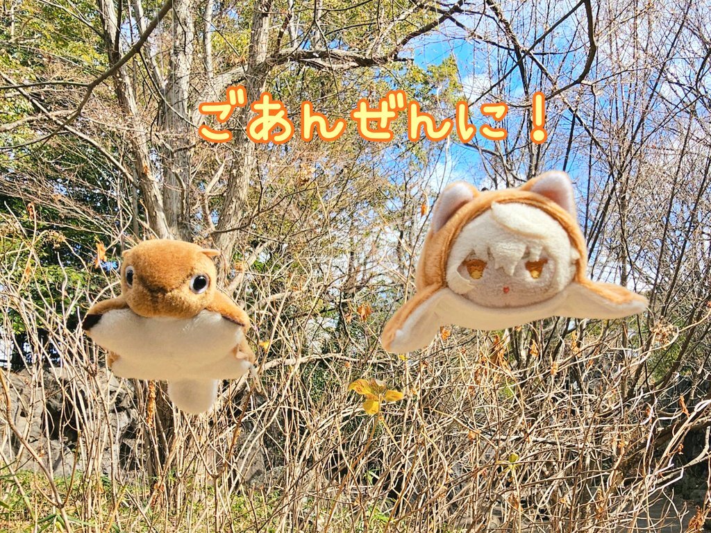 北海道・三陸沖地震：SNSで恐怖の声と被災地への心配が