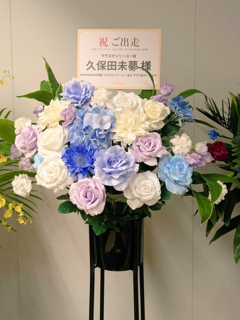 DMMバヌーシー、レースで活躍なるか？