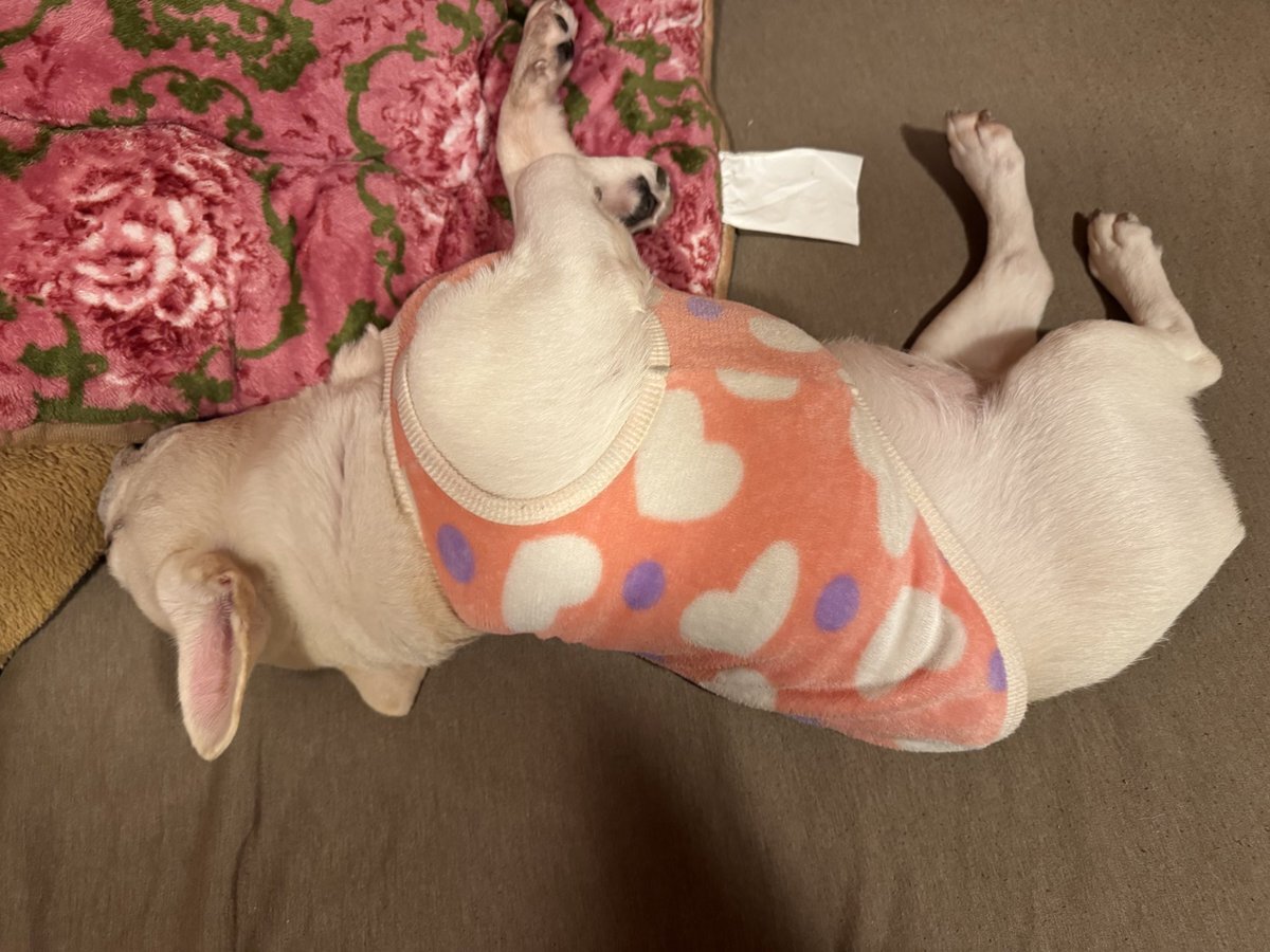 ゆきむら。の体調に心配の声続出