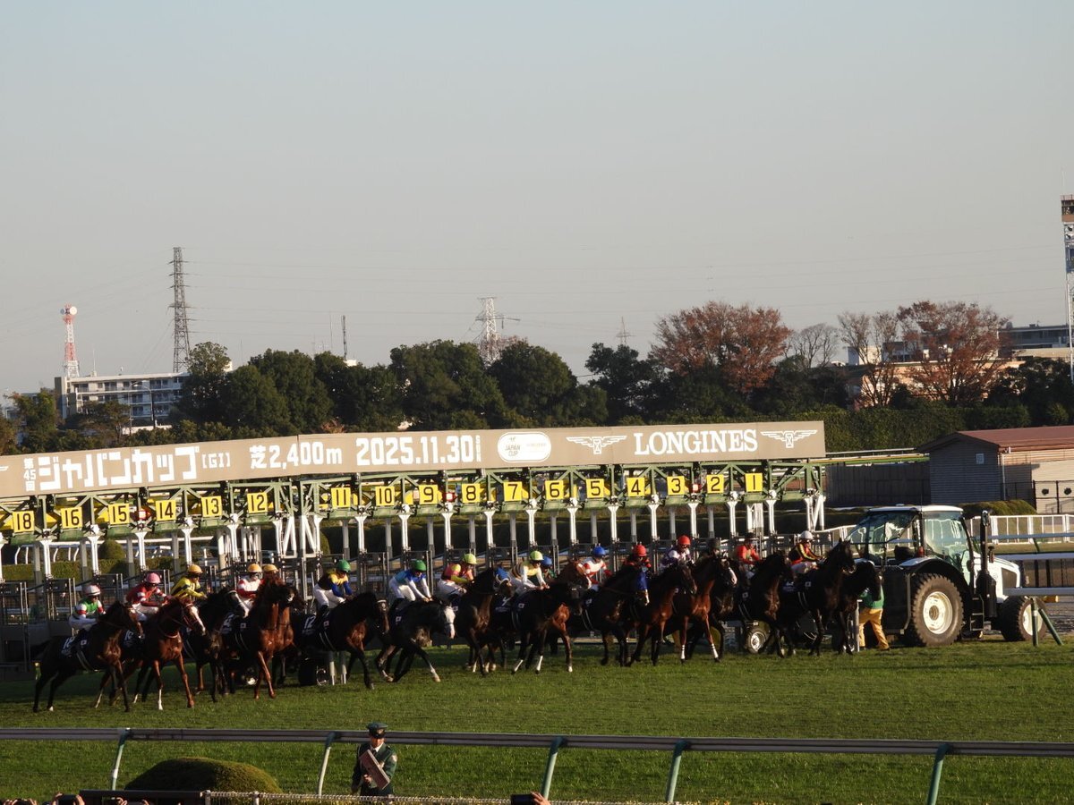 アドマイヤテラ、ジャパンカップでスタート直後に落馬競走中止