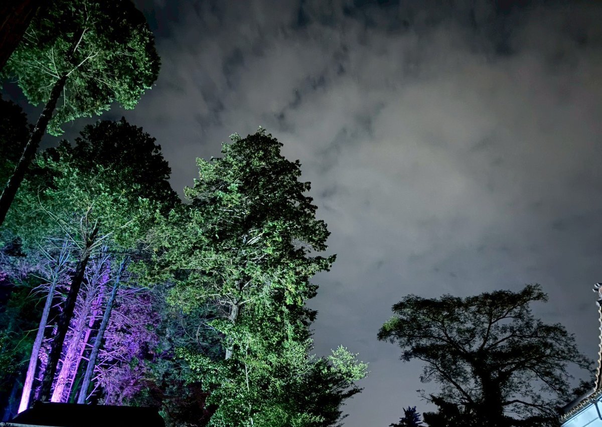 「ばけばけ」で語られた「飴を買う女」に、視聴者感動の声