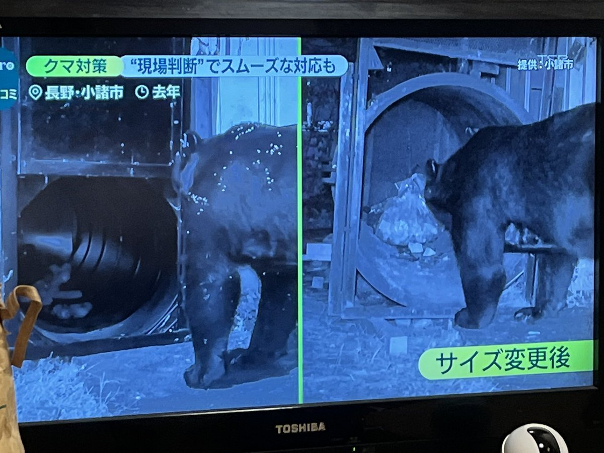 菅谷大介アナウンサー死去、ニュースZEROで追悼