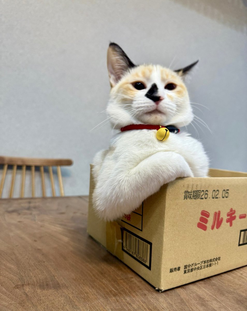 つむぎ」のYahoo!リアルタイム検索 - X（旧Twitter）をリアルタイム検索