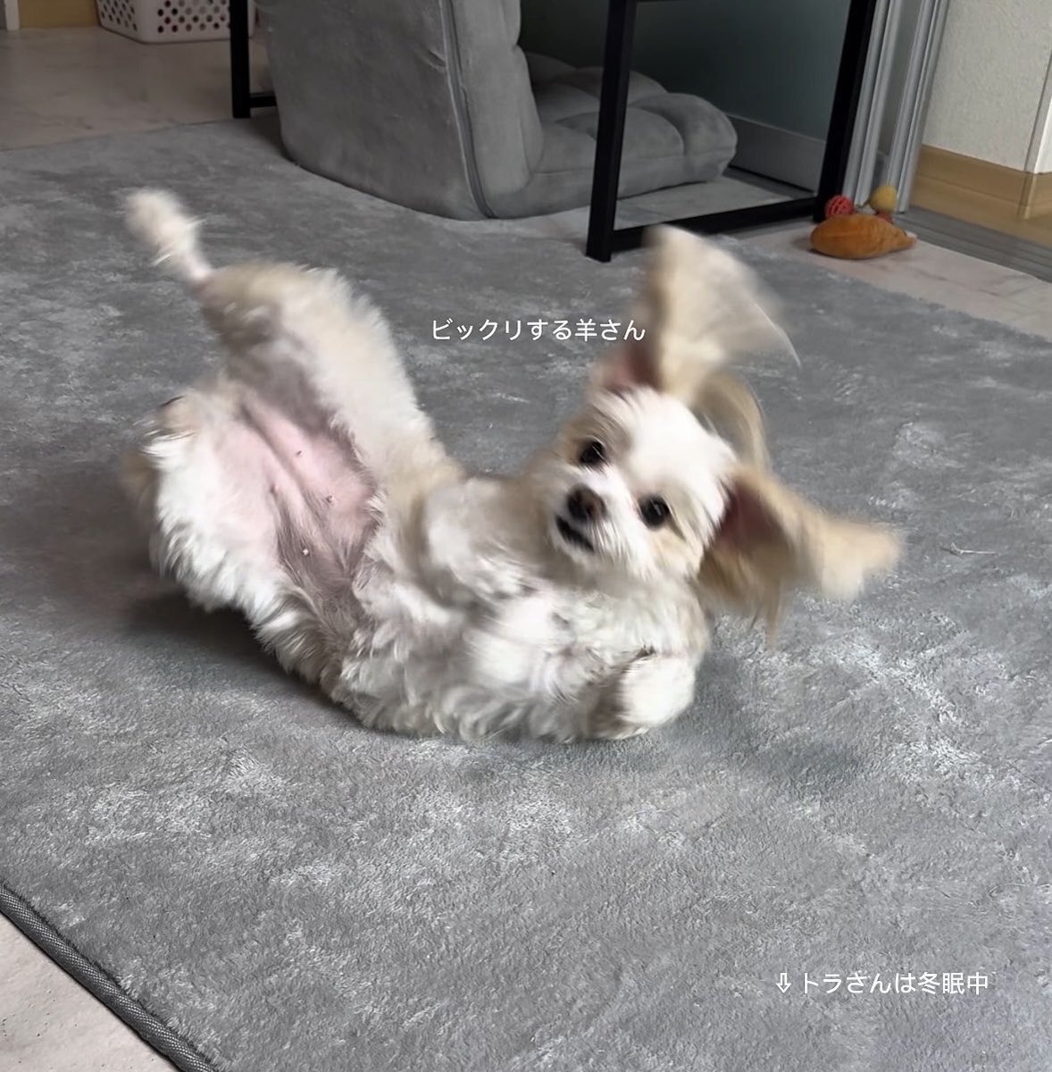 専用ページ★チュニジア　香水　ジャスミン　アンバー　チュニジア館のあの香りです チュニジア館最高すぎる🇹🇳 あの辺一帯で香る匂い良いなぁと