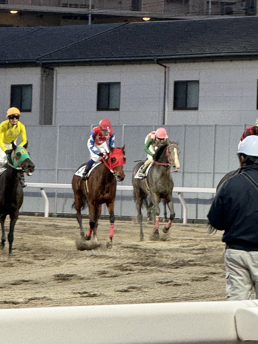 ドレアンティア圧勝！中央復帰へ向けファン歓喜