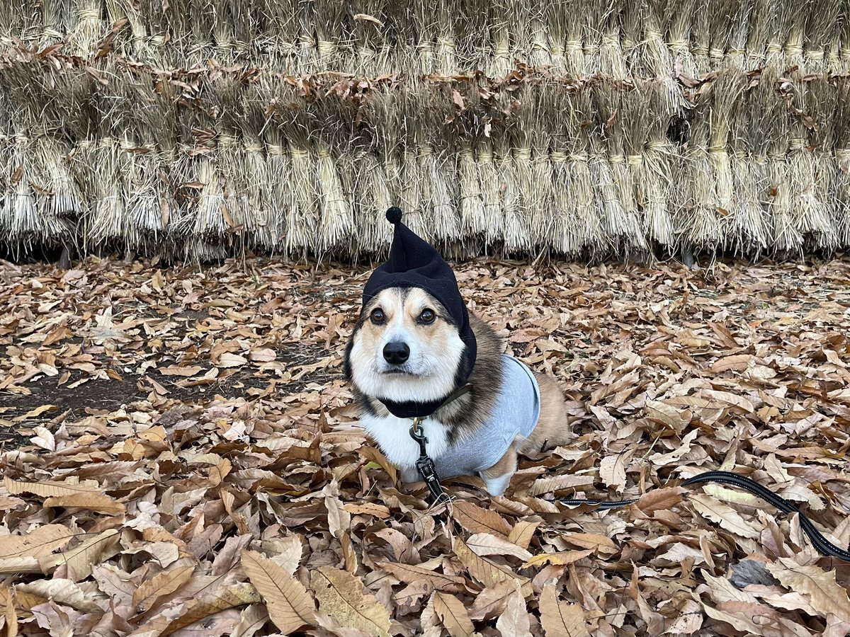 天使」のYahoo!リアルタイム検索 - X（旧Twitter）をリアルタイム検索