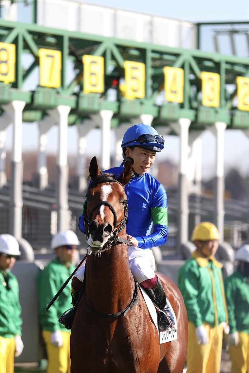 ワインダークシー、中山競馬で惜しくも4着！  