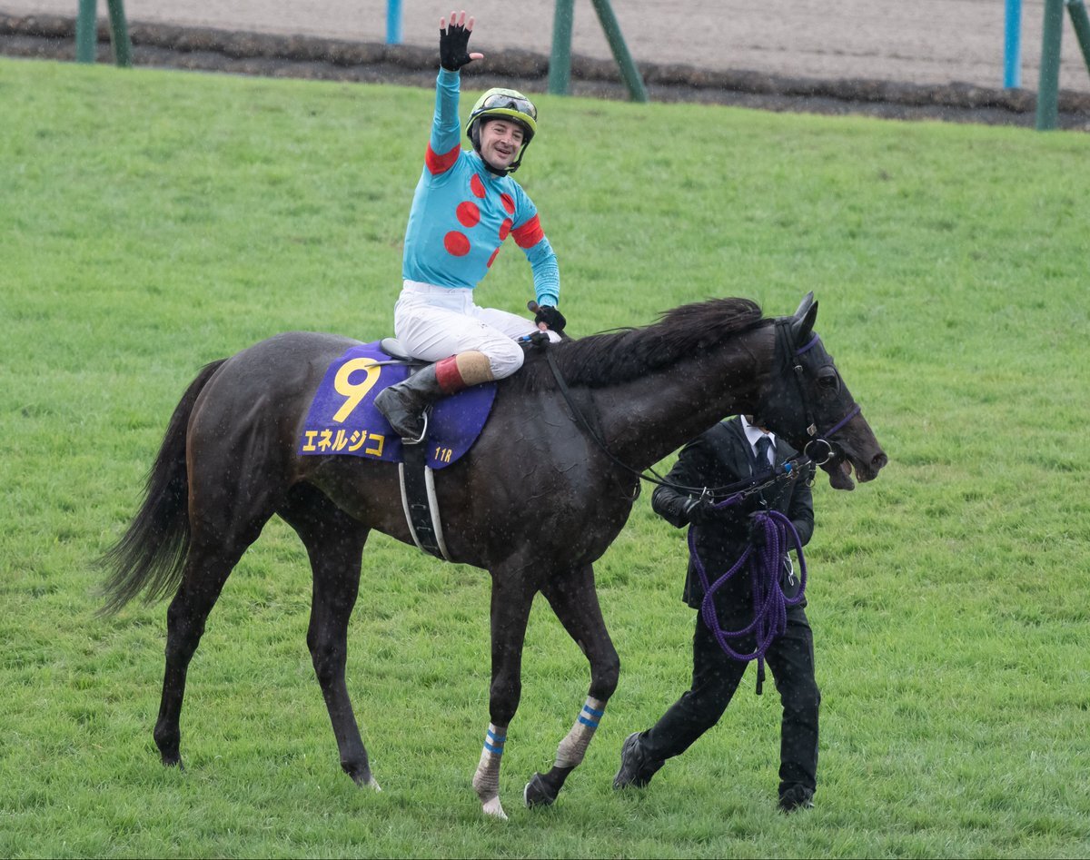 エネルジコ、ラストクロップで菊花賞制覇！
