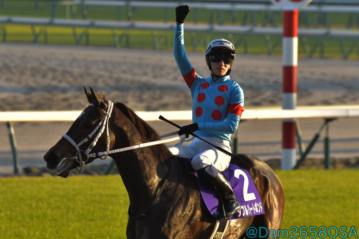 坂井瑠星騎手、ダブルハートボンドでチャンピオンズカップ制覇！ 