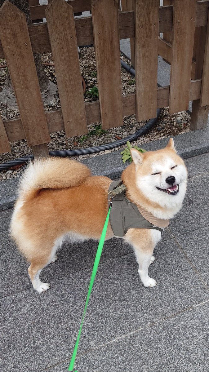 ルノルマンカード」のYahoo!リアルタイム検索 - X（旧Twitter）を