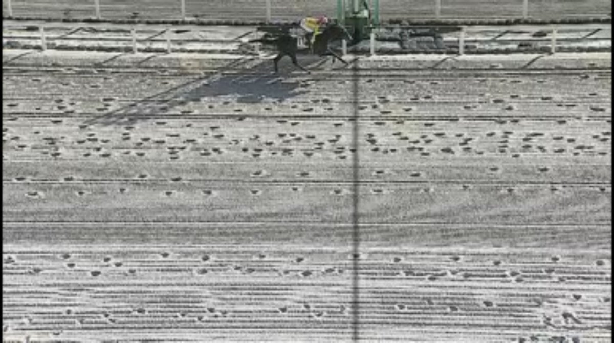 船橋競馬で予想的中！SNSは一体どんな反応？