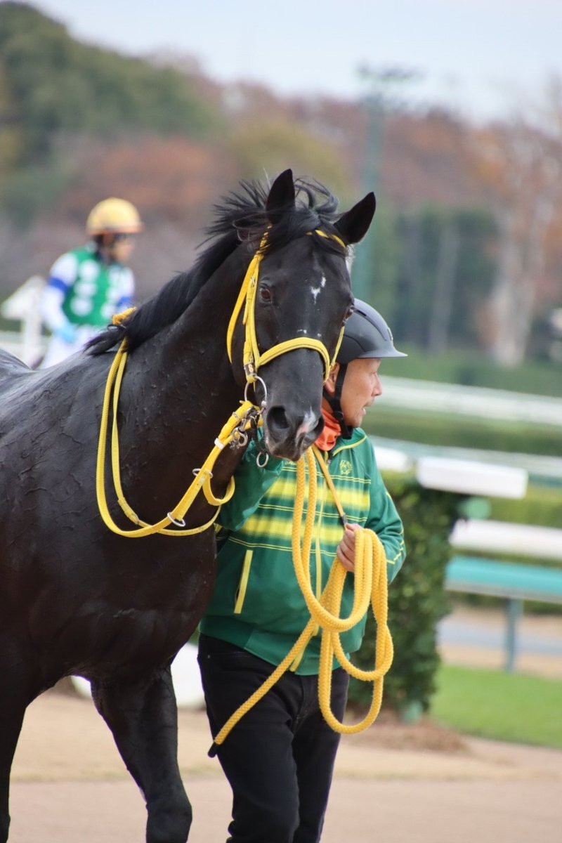 フームスムート落馬、五十嵐雄祐騎手は担架で運ばれる