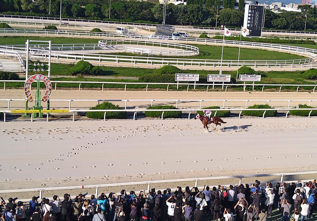 オケマル、無敗の三冠馬を達成！今後の活躍に期待は高まる？