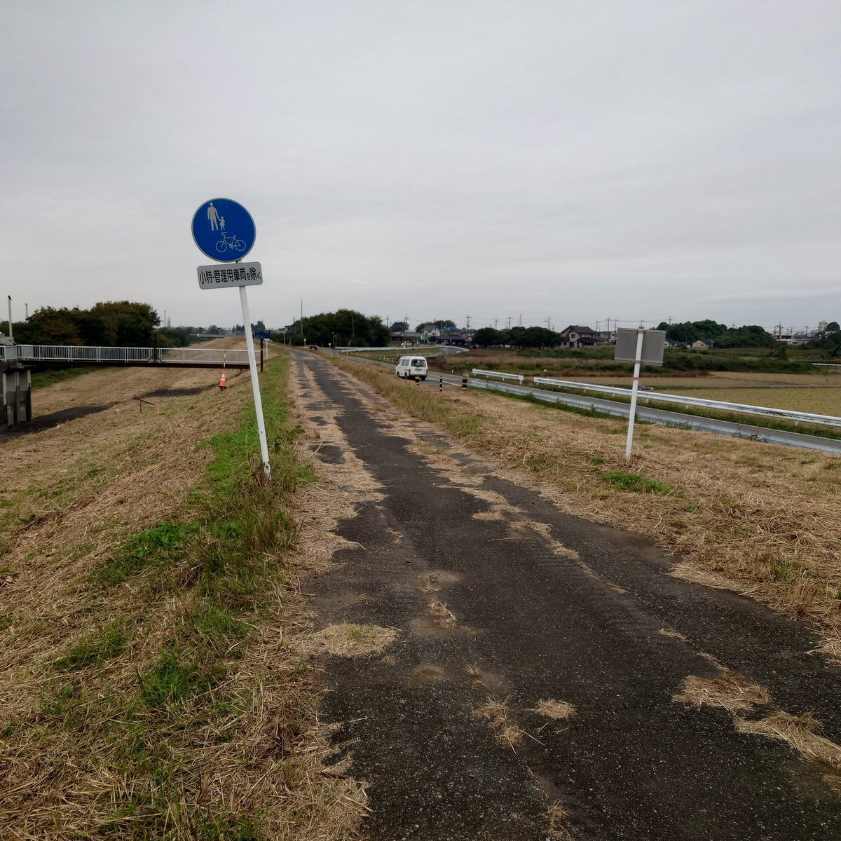 雨の予報と現実、SNSユーザーはどう過ごしている？