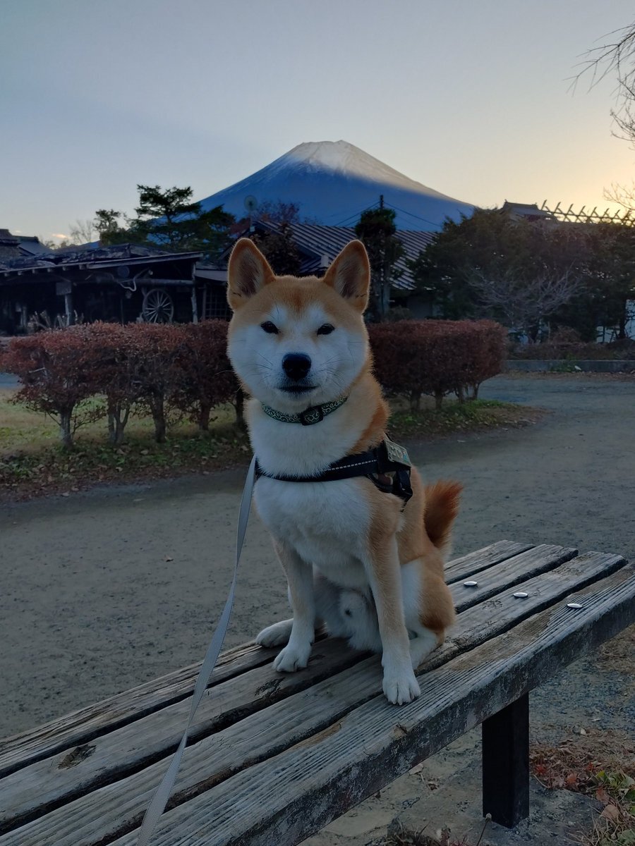 ばるだにーとプロフ確認お願いします（本日中） 内容も無い様な7曜日 😜🫶 art I. @digitalninja774 🥷💘🌍🎸🥷