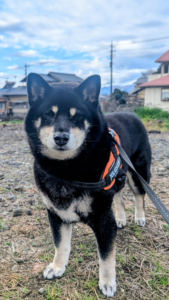 「元気ない」と呟く人が続出！SNSで共感の声