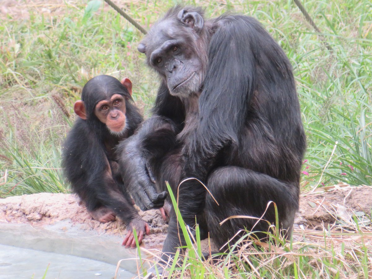 ペコさん」のYahoo!リアルタイム検索 - X（旧Twitter）をリアルタイム検索