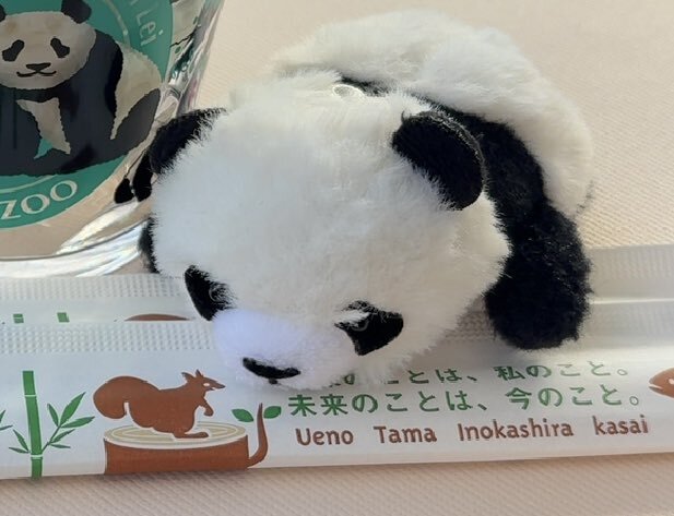 上野動物園パンダ、返還発表後週末は長蛇の列