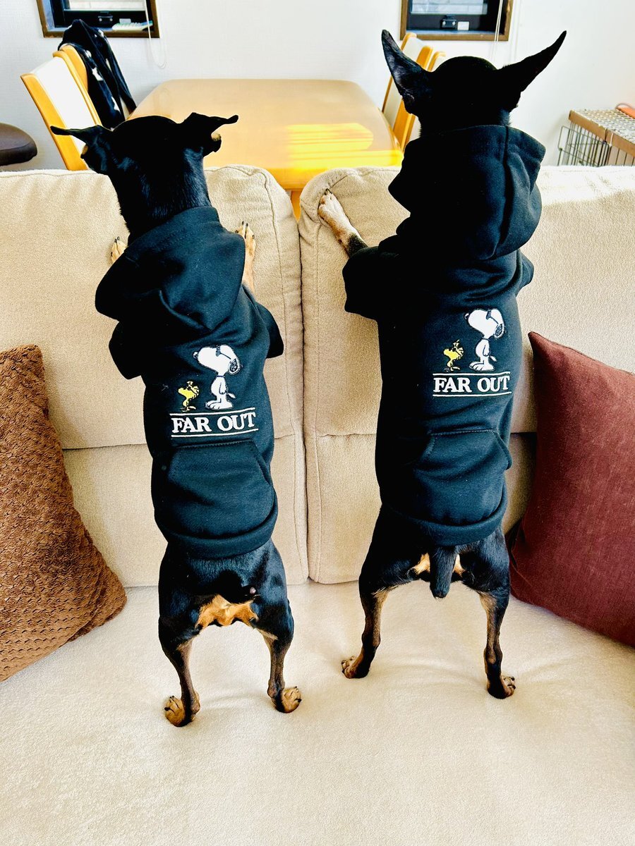 ワールドシリーズ、まさかの二者連続ホームランでドジャース苦戦