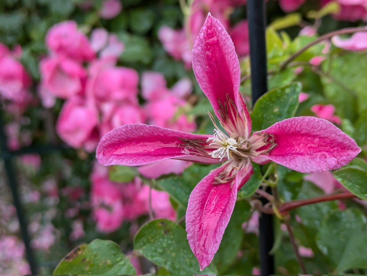栃木・小山市の住宅で強盗傷害事件が発生