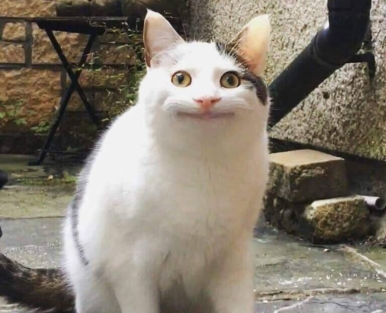 SNSで話題の子育て、喜びと悩みを語る