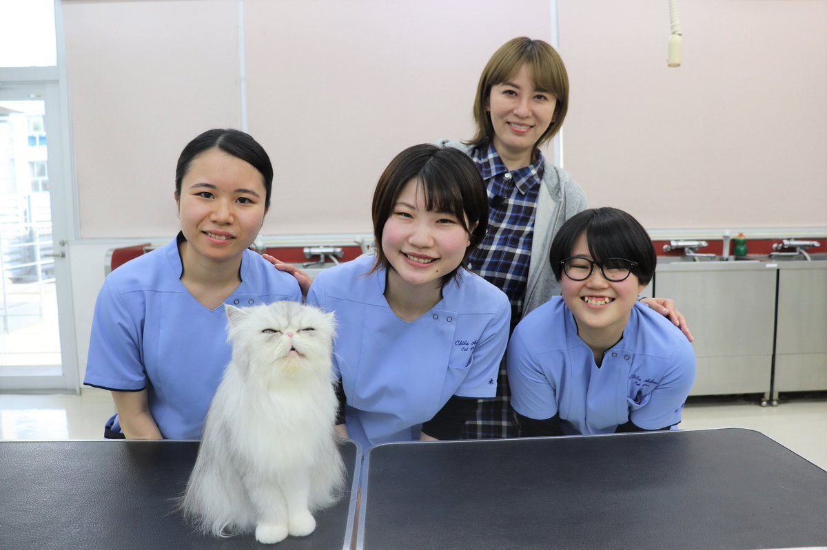 ねこ自慢 のtwitter検索結果 Yahoo リアルタイム検索
