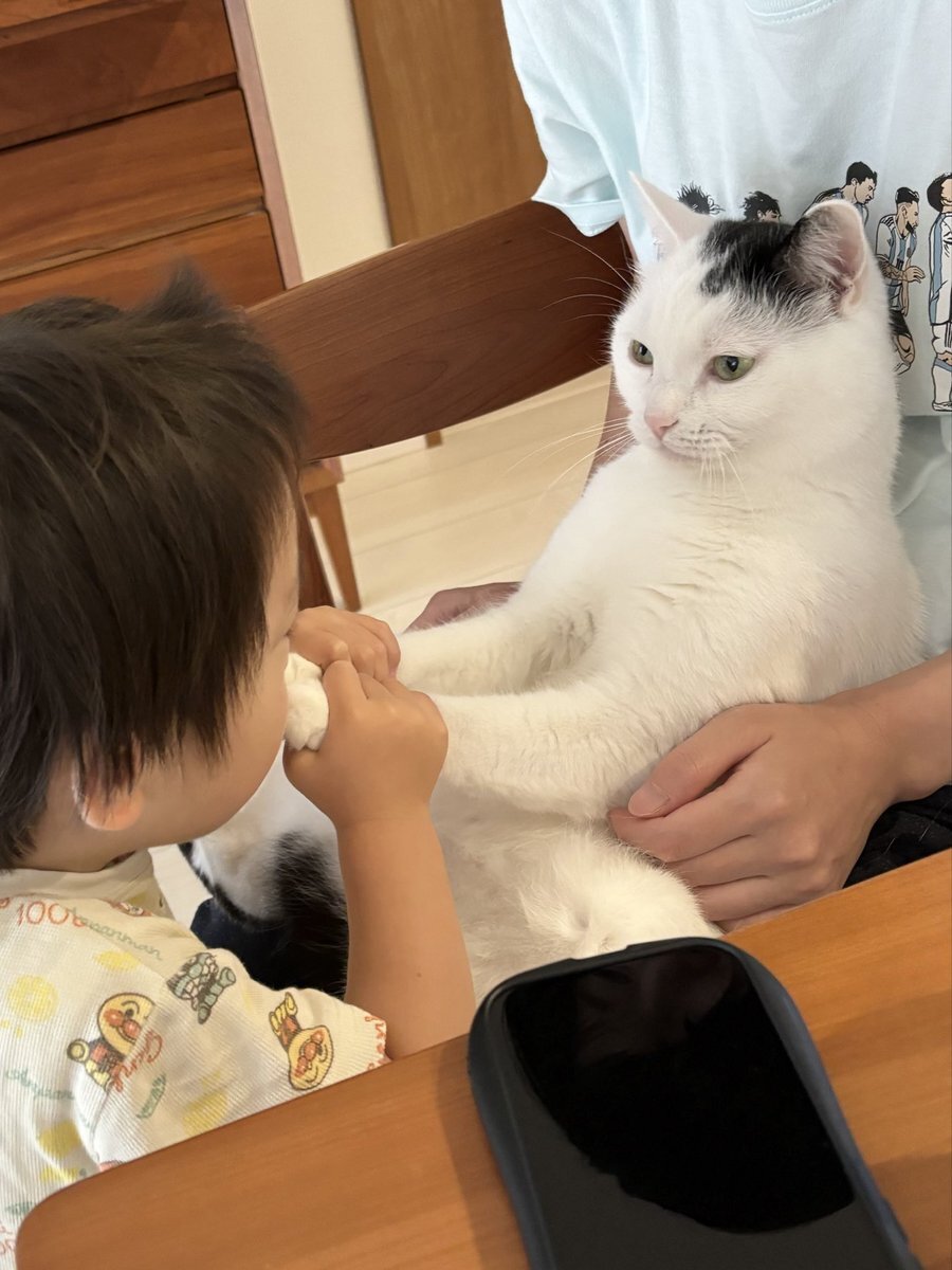 なめ猫」のYahoo!リアルタイム検索 - X（旧Twitter）を