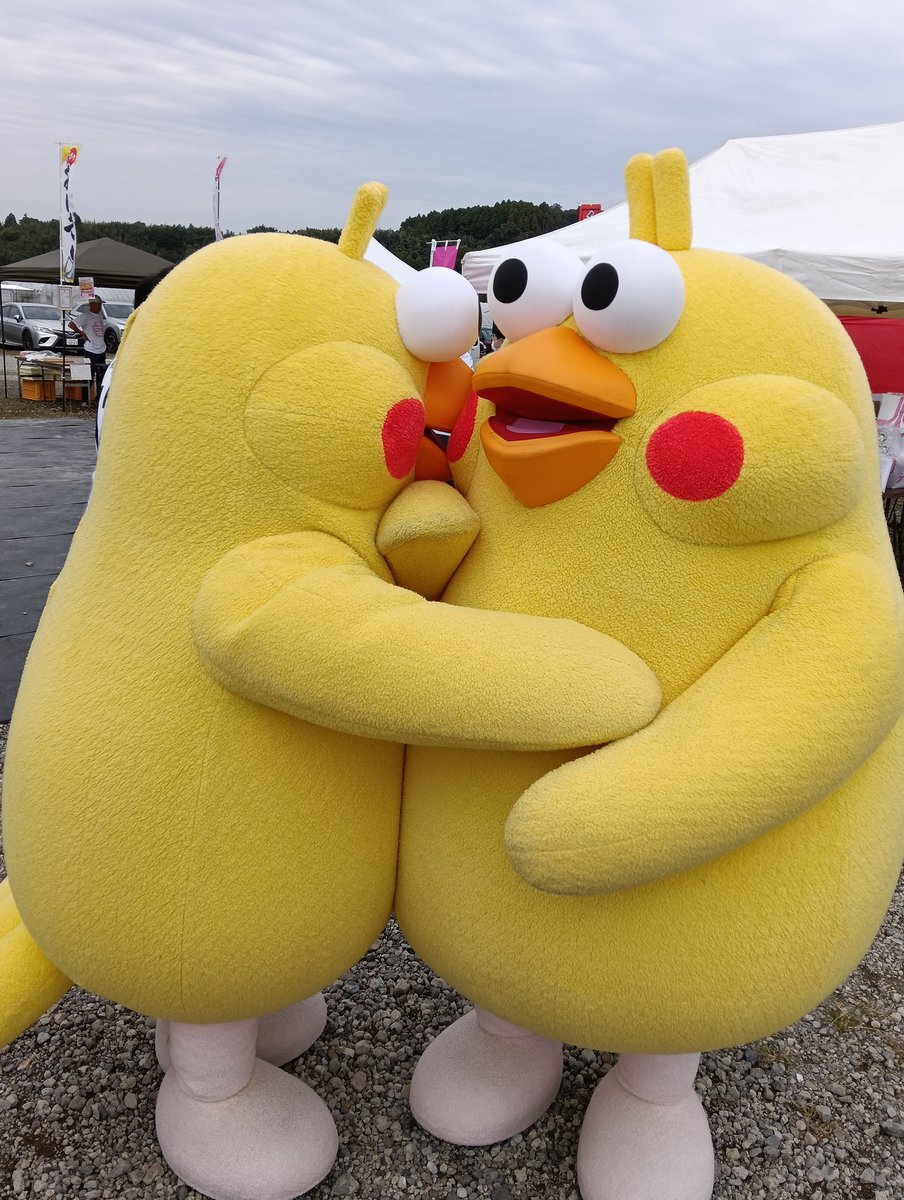 ポインコ兄弟」のYahoo!リアルタイム検索 - X（旧Twitter）を