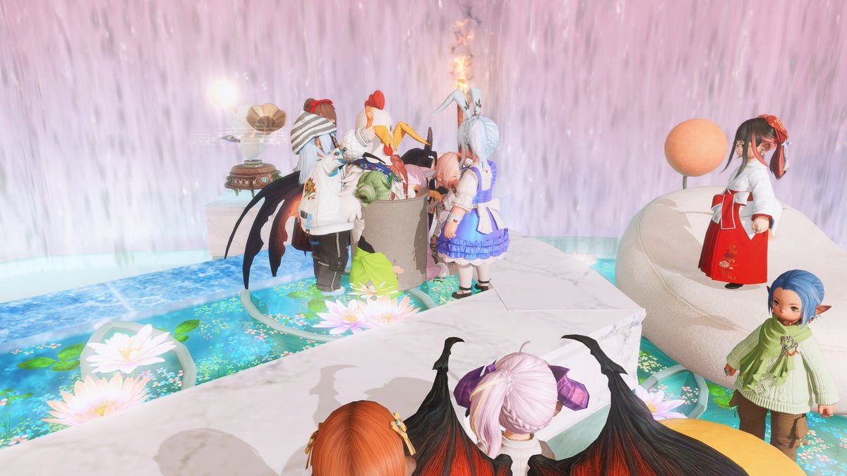 - Mirkacafe、西院ウーララ、ホワイトバニー、桃猫秋葉で賑やかな金曜日