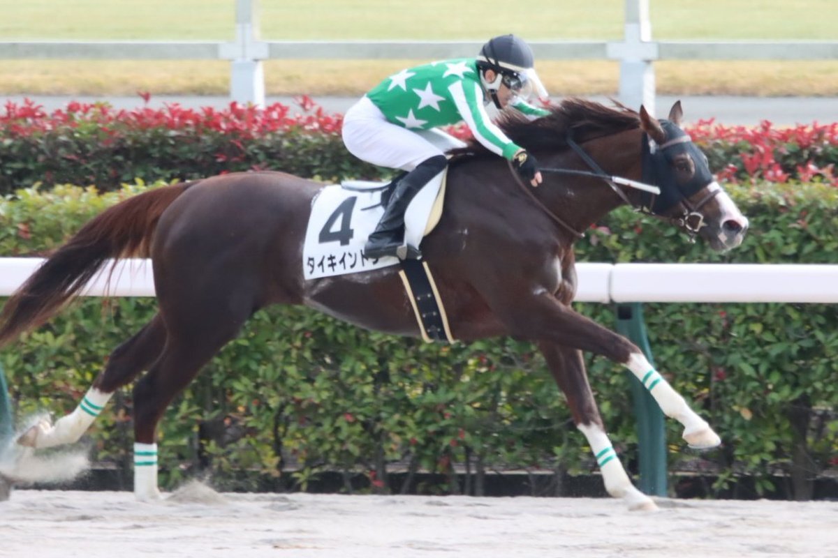 タイキインドラ、格上挑戦で圧勝！初勝利にファン歓喜
