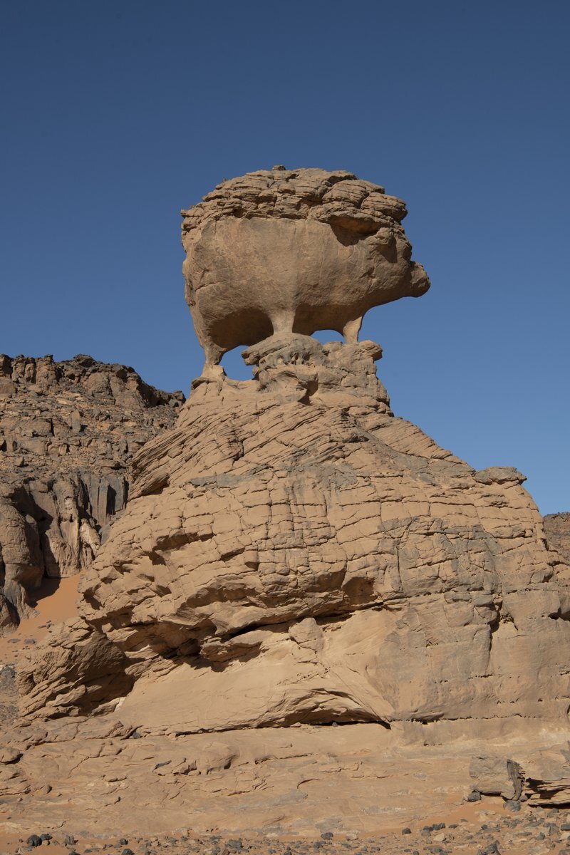 アルジェリア代表、ワールドカップ2026でアルゼンチンと対戦！