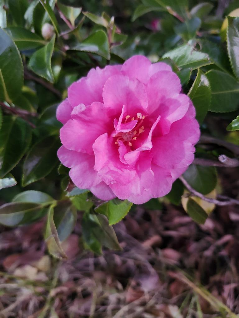 日曜なのに！ 多くの人が早起きして活動する様子が投稿に