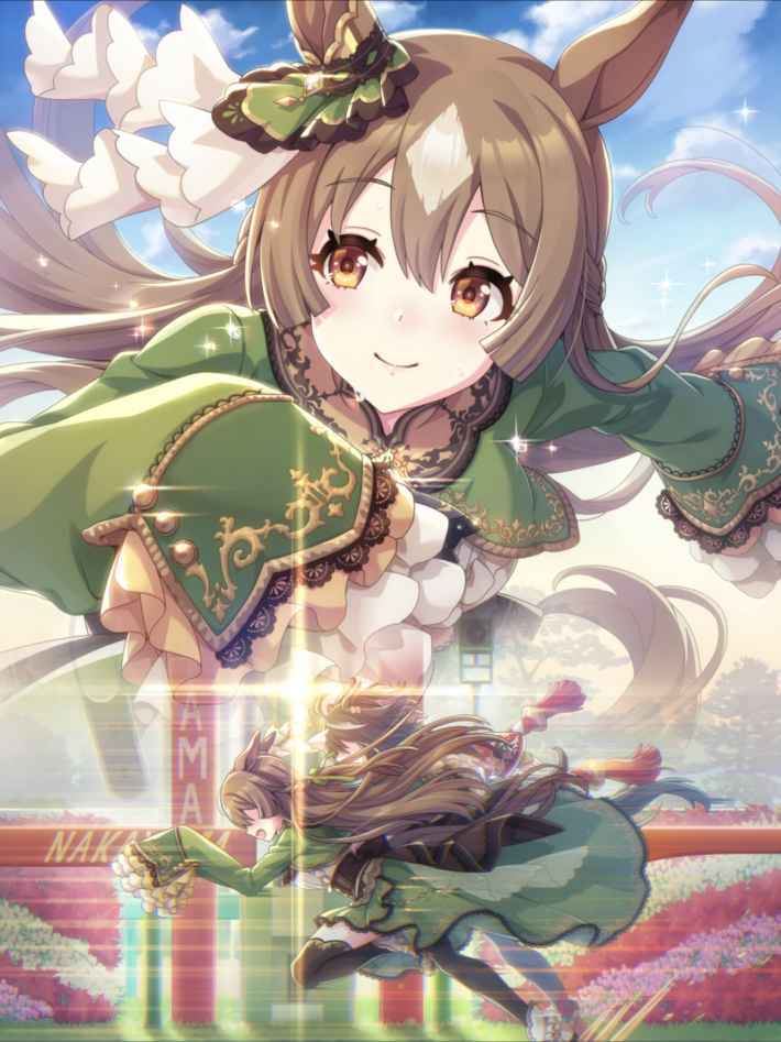 オルフェーヴル　鬣 オルフェーヴル鬣1点のみ!