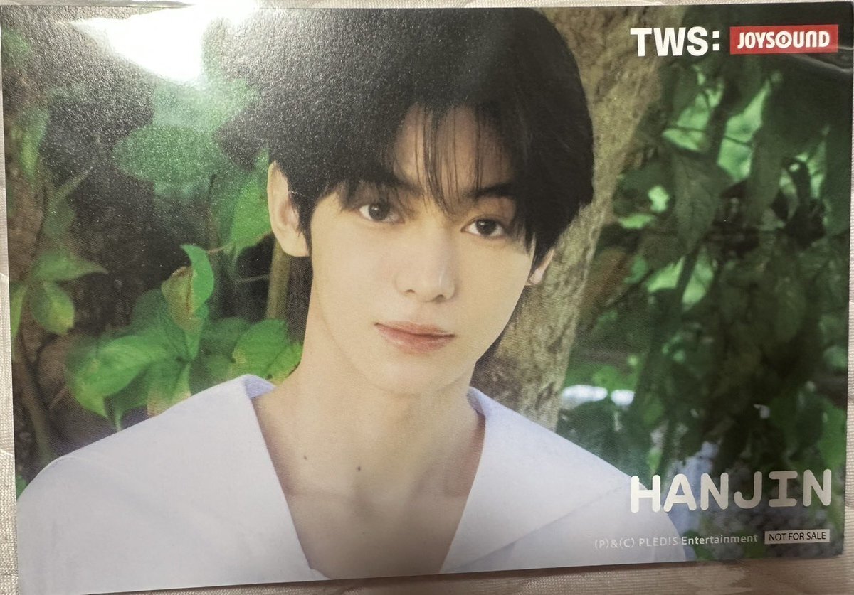 TWS ドフン TWS】DOHOON (ドフン) のプロフィールや魅力を徹底解説