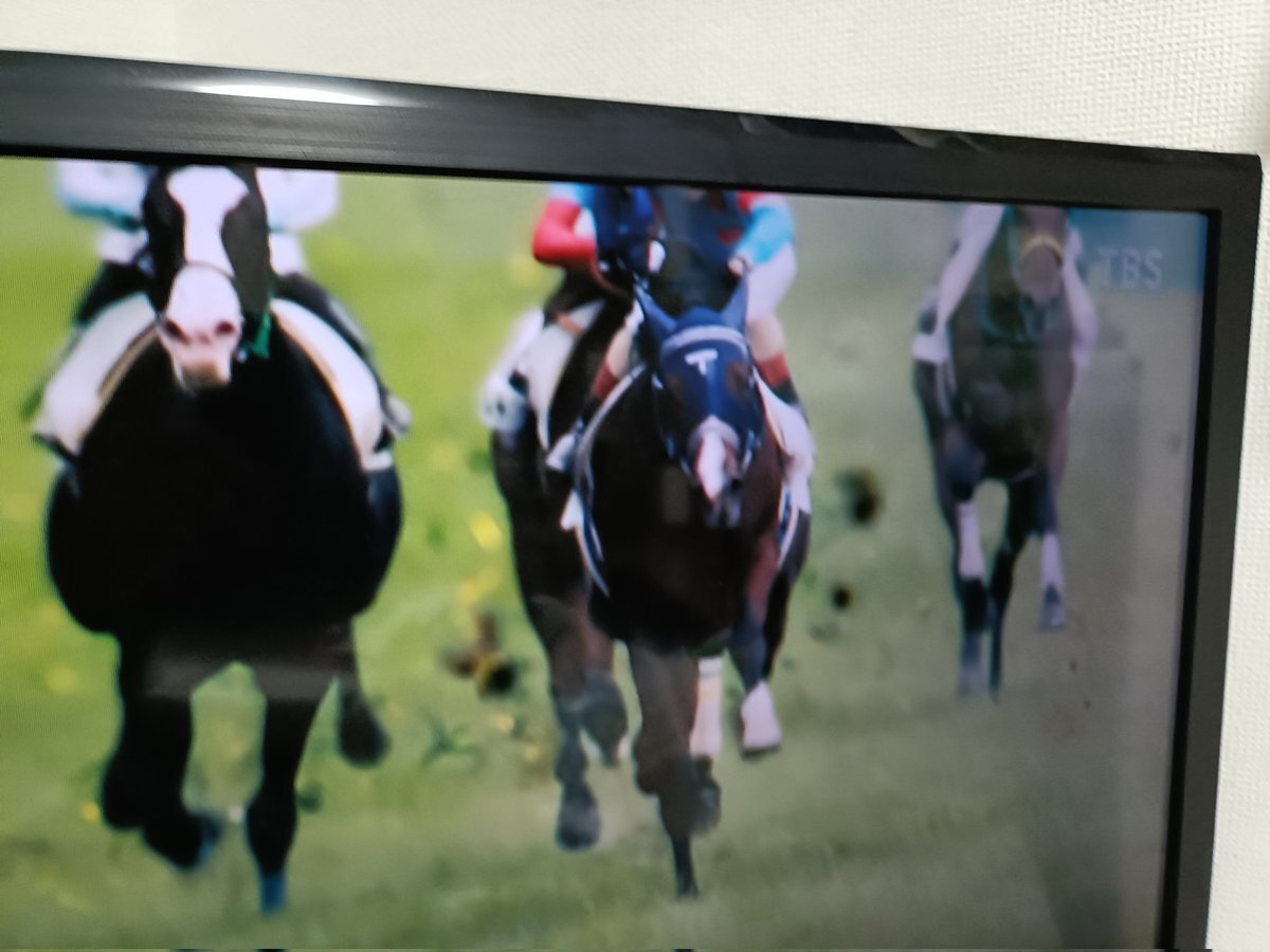 手塚厩舎のメンコ、ドラマに登場！