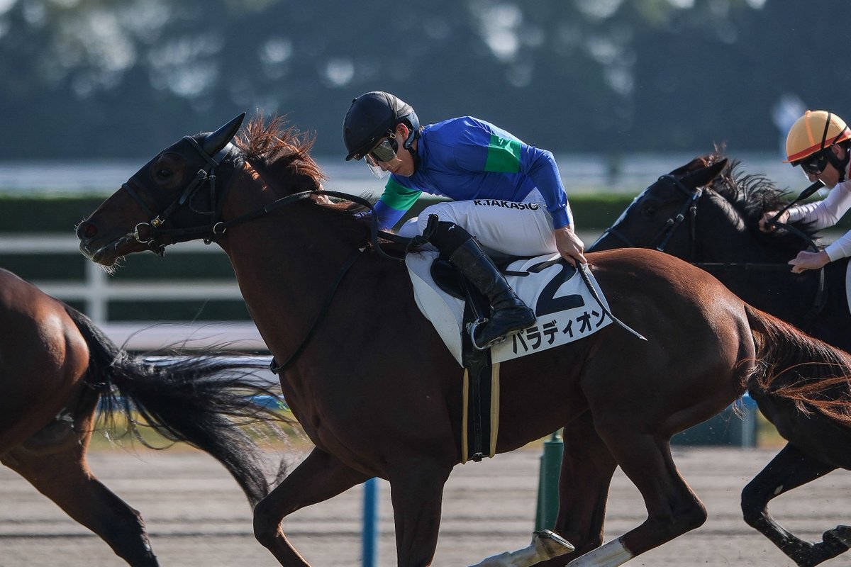 パラディオン、デビュー戦で圧巻の差し切り勝ち！期待の2歳馬が誕生
