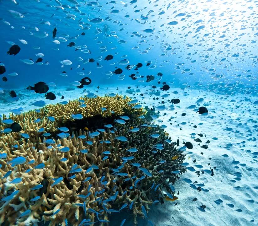 ジャッキー・チェン＆クリス・タッカー！『ラッシュアワー4』製作決定にファン歓喜！ 