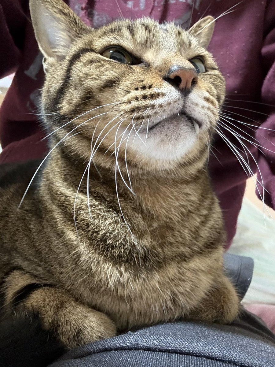 日曜日の始まりに、SNSで喜びと寂しさが交錯