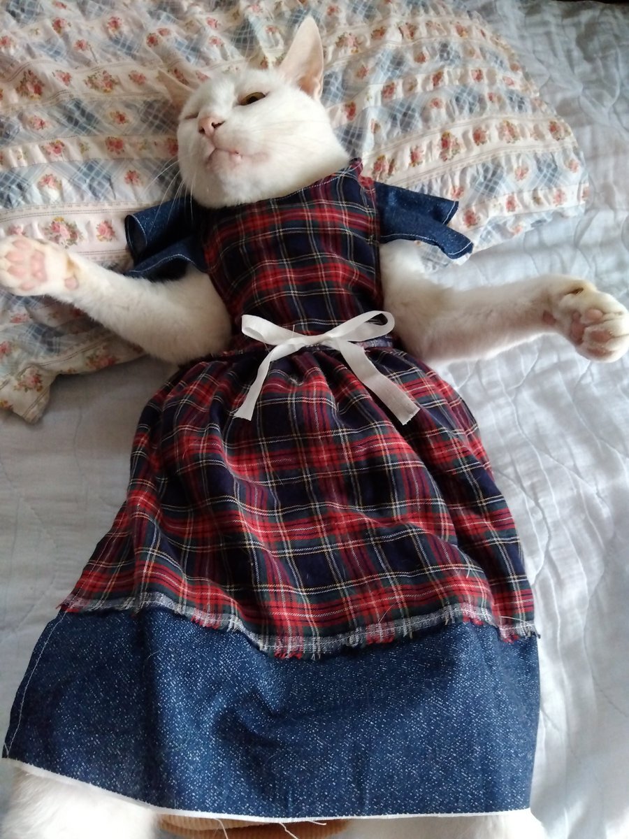 SNS上、昨日の地震に懸念の声