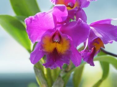 テレホンカードの日、懐かしさと変化を語るSNS投稿