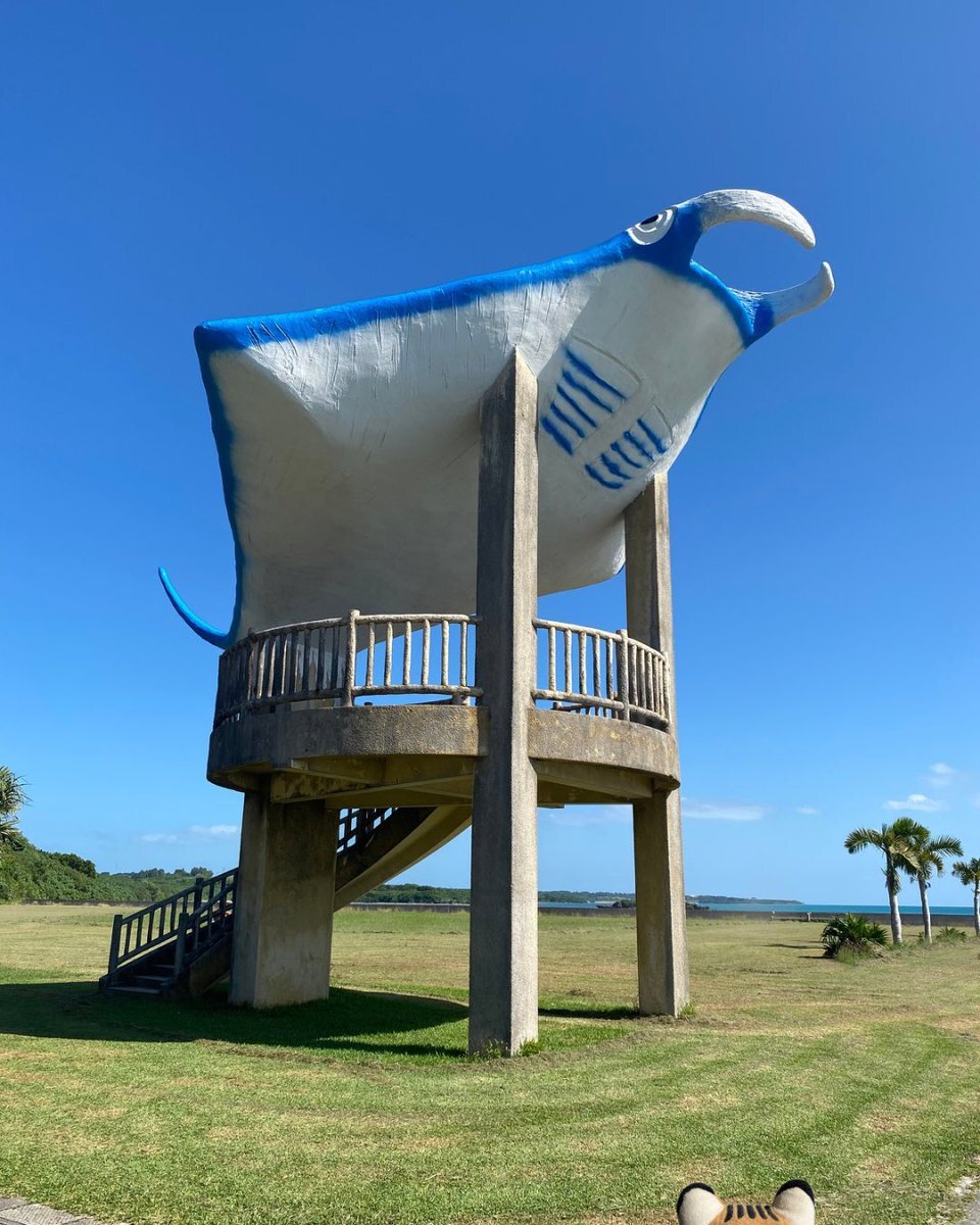 マンタツアー、天候に翻弄される？