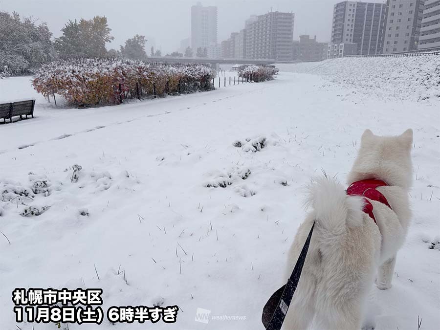 北海道で今季初の雪！ どんな様子？