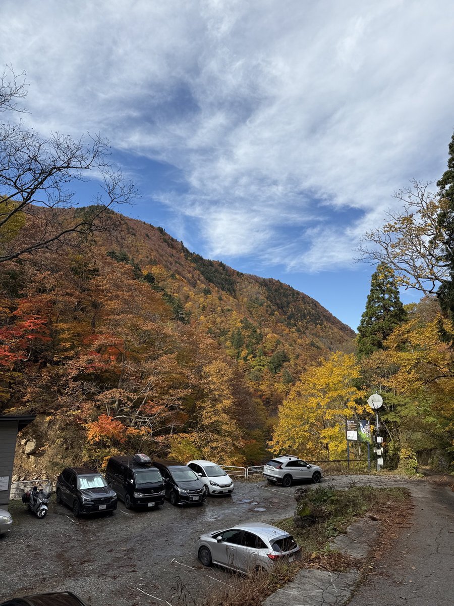 クマが山形の温泉旅館に侵入