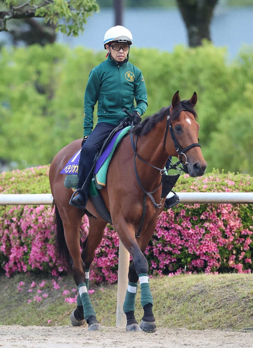 大阪杯連覇のベラジオオペラ、種牡馬入りへ