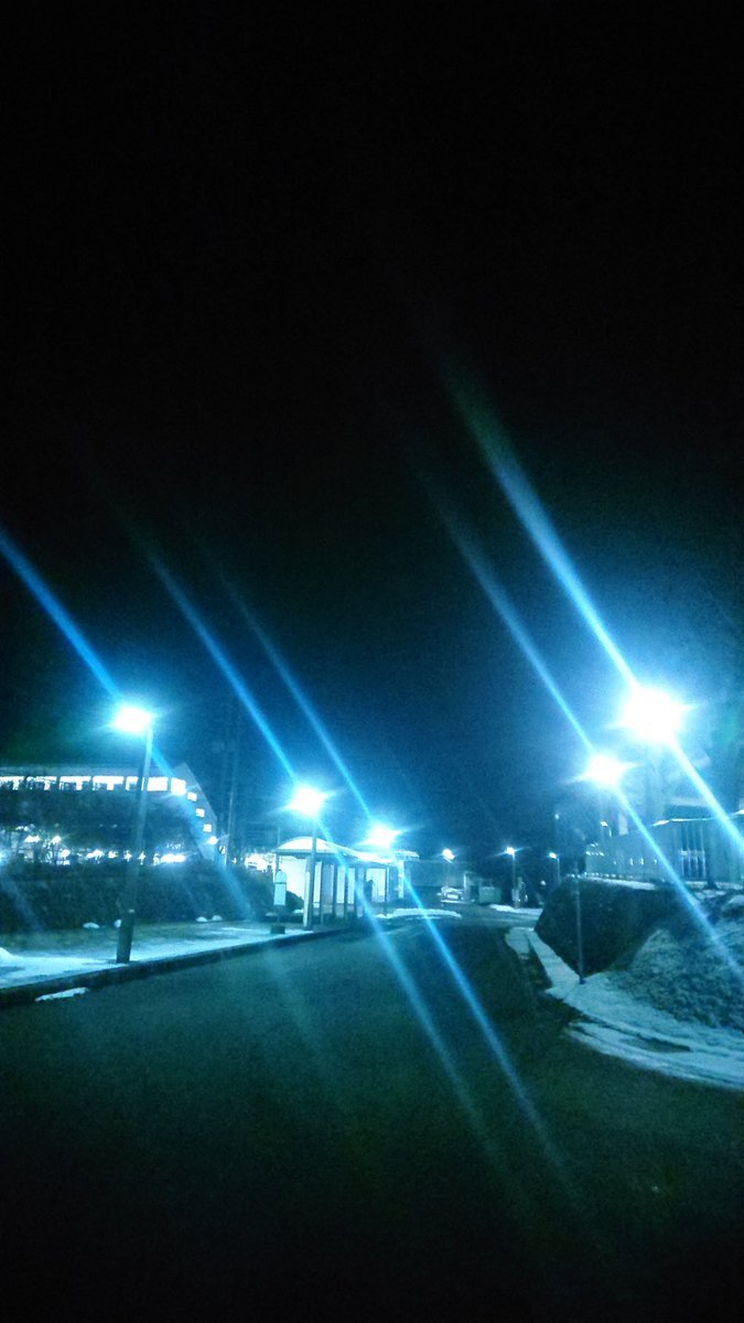 #マイあさ 穏やかな土曜日の朝を彩る投稿たち 