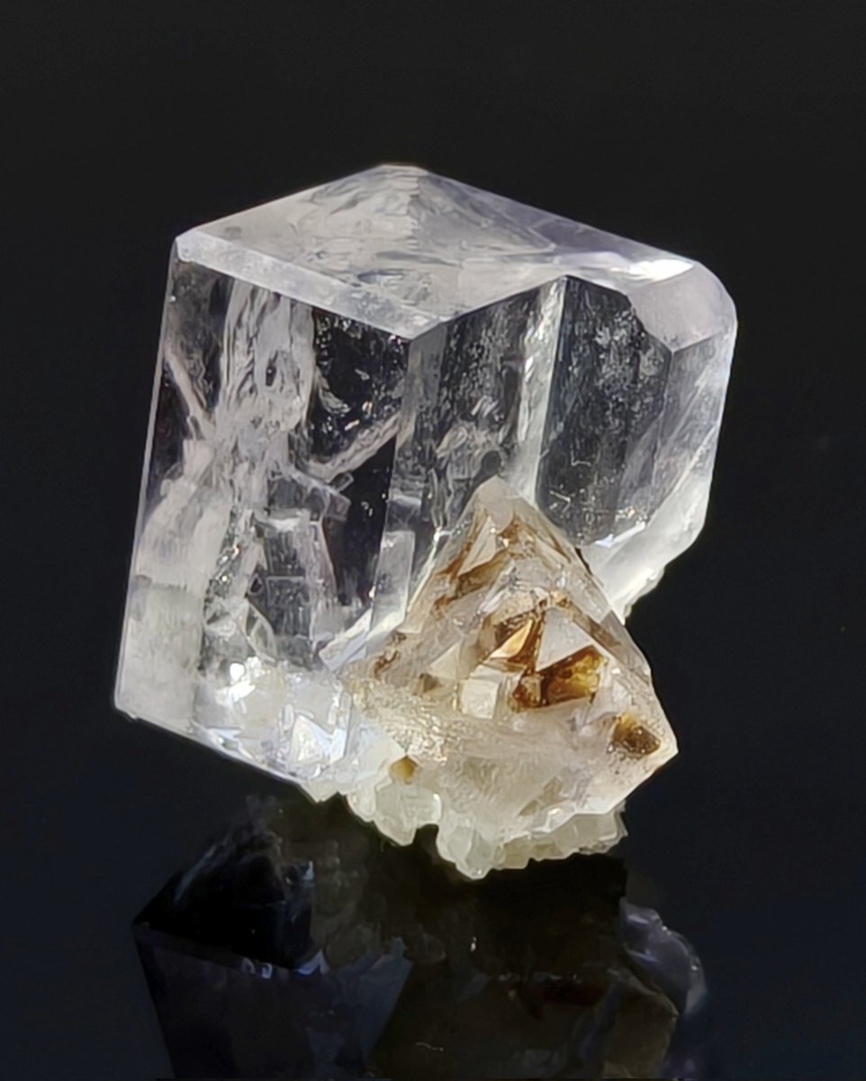 SNS投稿で社会問題や医療制度への不満が浮き彫りに