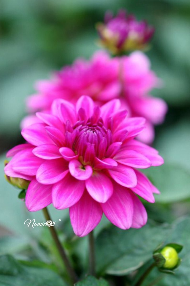 自分勝手な行動に感じる人々の怒り