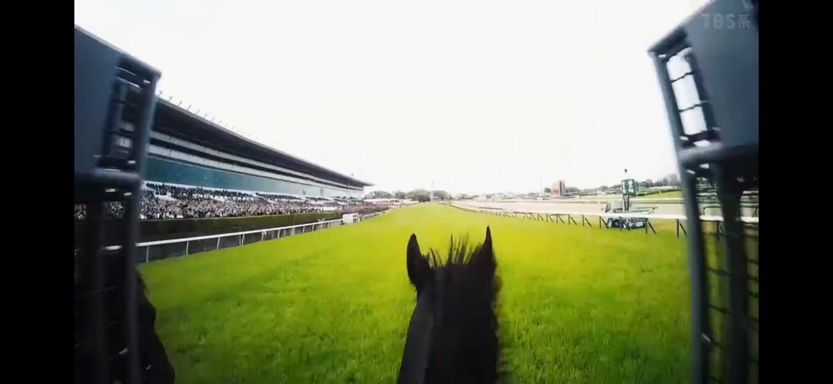 「ロイヤルファミリー」のジョッキーカメラ、時代錯誤？